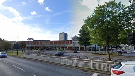 The-Moor-Regeneration