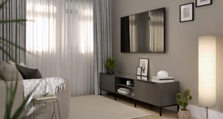 1bhk_spring_property
