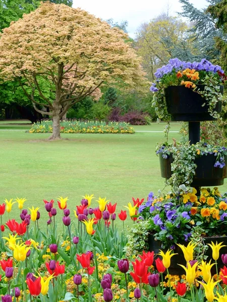 Park-in-birmingham