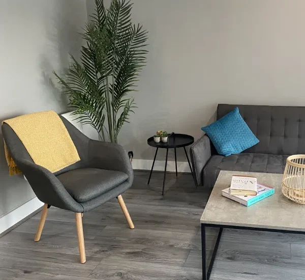 sofa set sofa set
